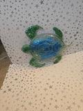 Custom Turtle