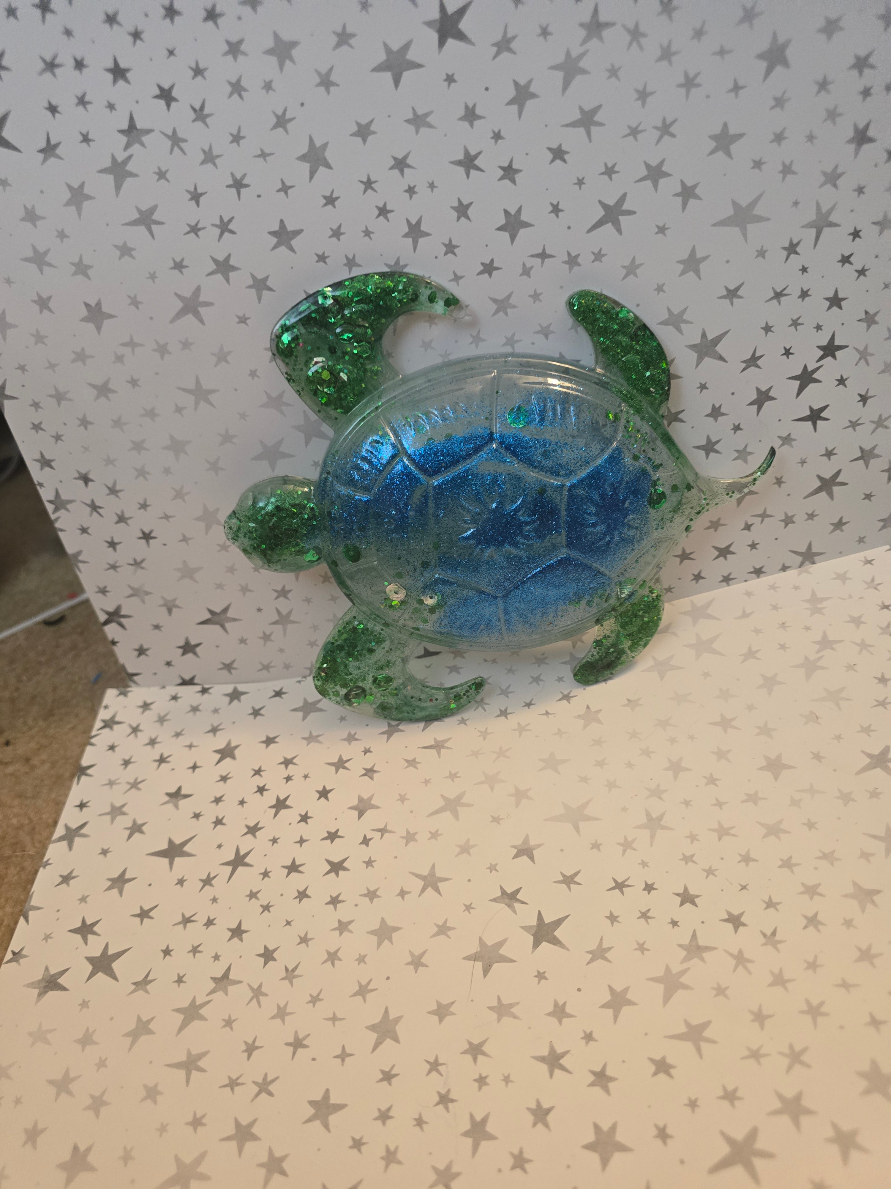 Custom Turtle