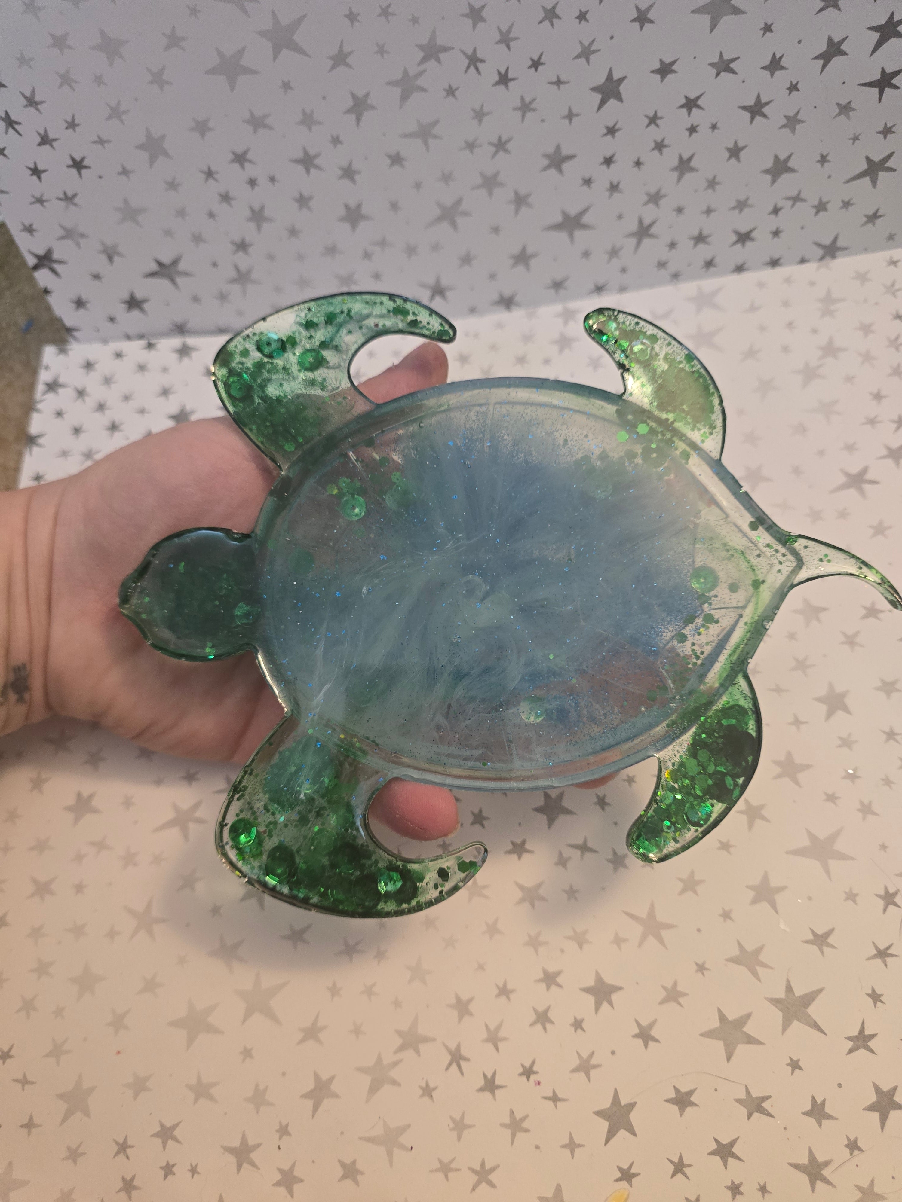 Custom Turtle